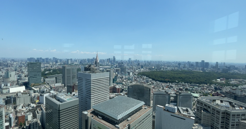 View from the observation deck of the Tokyo Metropolitan Government Building